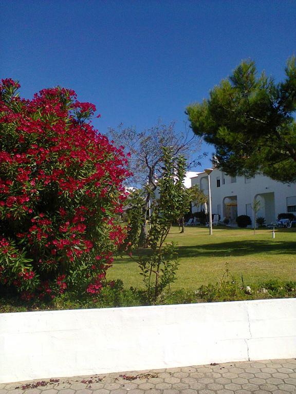 Апартаменты Quinta Do Torrejao Армасан-де-Пера Экстерьер фото